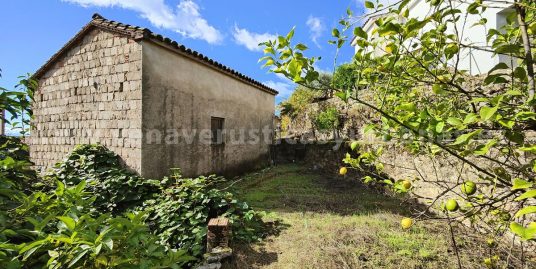 NUEVOS IDEAS, NUEVOS ESPACIOS