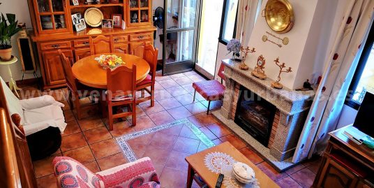 PATIO BAJO LOS CASTAÑOS