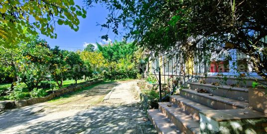 VERGEL EN LAS SOLANAS