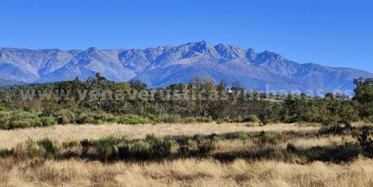 BAJO LA MIRADA DE GREDOS