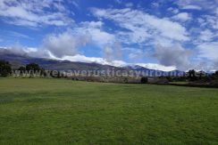 IMG20250314104823_result