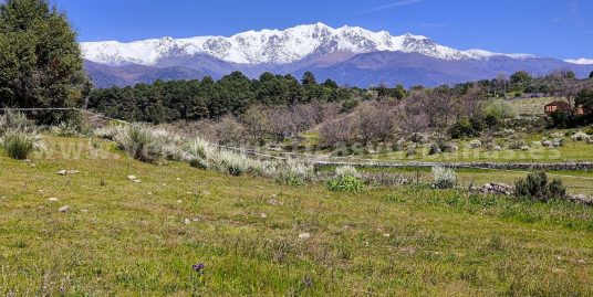 DONDE LLEGA EL RUMOR DE LA CASCADA