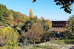 1764237266168_result