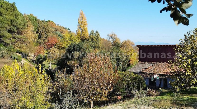 1764237266168_result