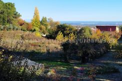 1764237439243_result