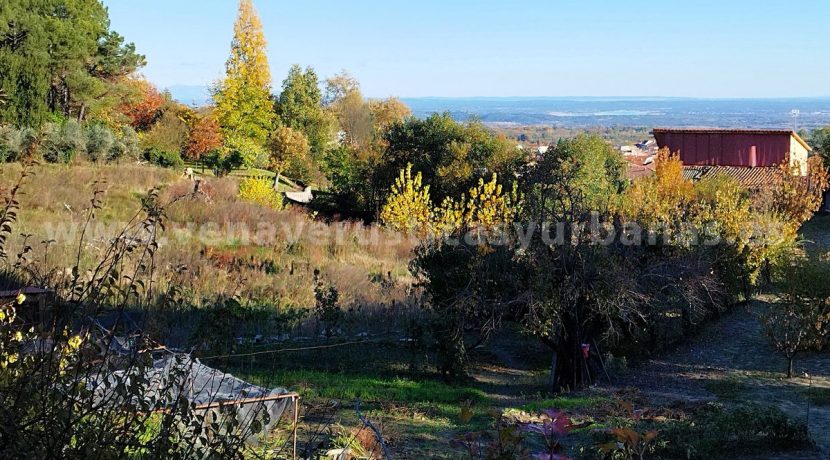 1764237439243_result