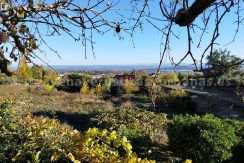 1764237439254_result