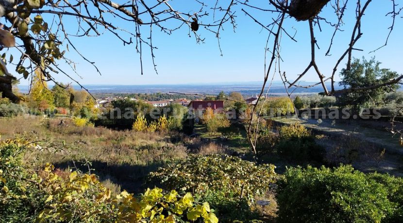 1764237439254_result