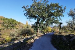 1764237439274_result