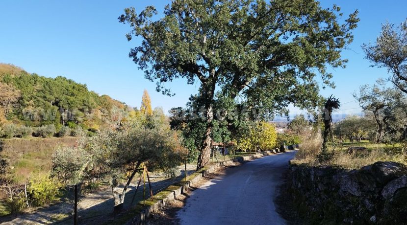 1764237439274_result