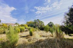 IMG20251119121940_result