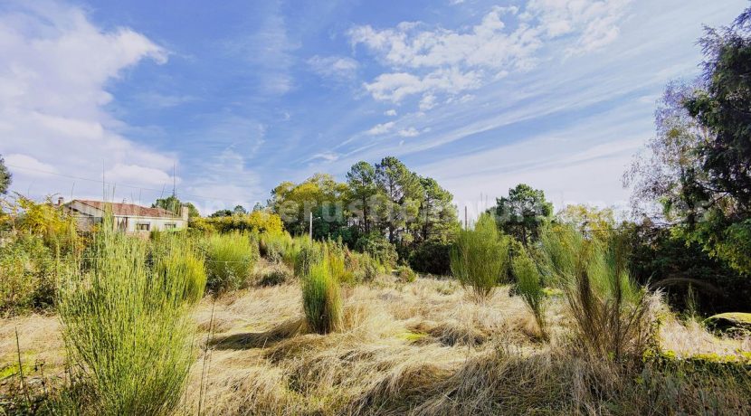 IMG20251119121940_result