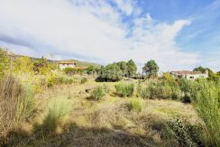 IMG20251119121944_result