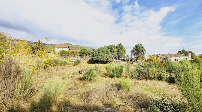 IMG20251119121944_result