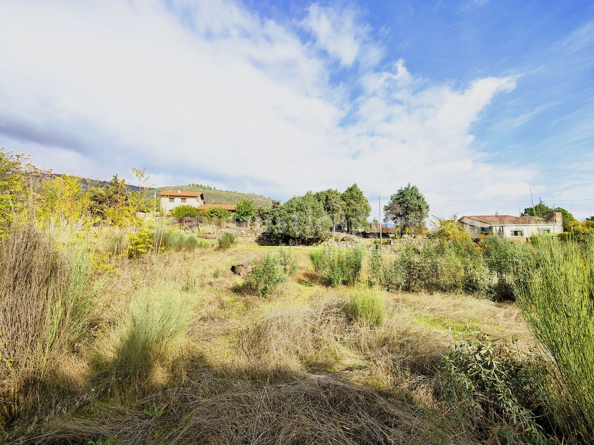 AMANECE EN LAS SOLANAS