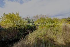 IMG20251119121948_result