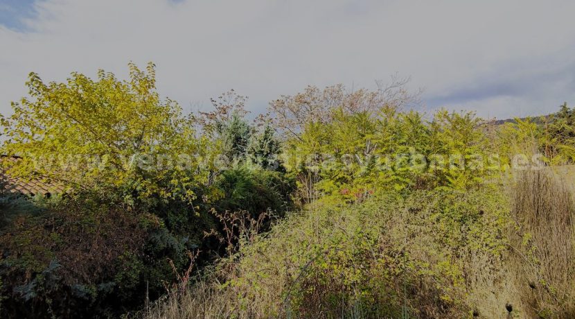 IMG20251119121948_result