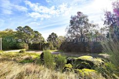 IMG20251119122003_result