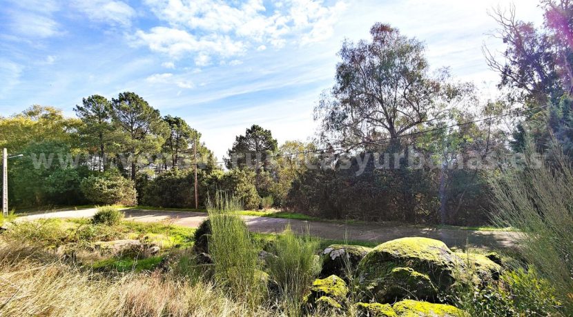 IMG20251119122003_result