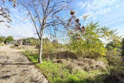 IMG20251119122101 (3)_result