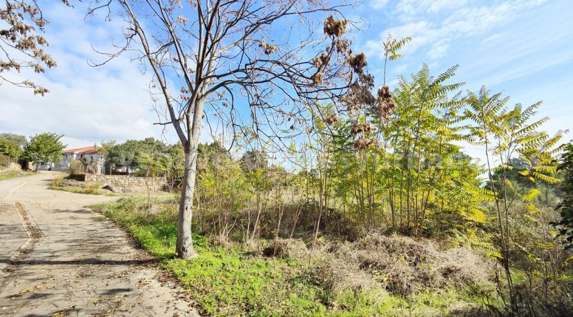 IMG20251119122101 (3)_result