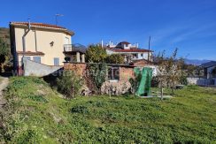 IMG20251201113535_result