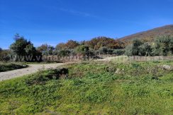 IMG20251201113712 (1)_result