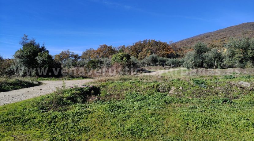 IMG20251201113712 (1)_result