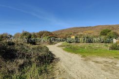 IMG20251201115107 (1)_result