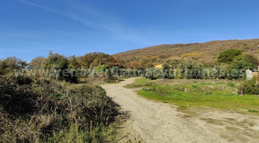 IMG20251201115107 (1)_result