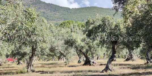 A LA VISTA DE LA VILLA