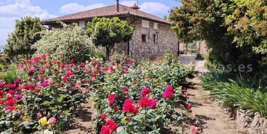 MI JARDIN DE LA VERA