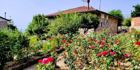 MI JARDIN DE LA VERA