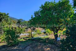 01735d38-e7c1-418a-89d1-c3d862d2f4e8_result