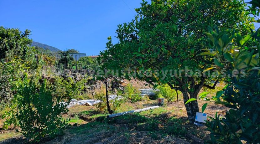 01735d38-e7c1-418a-89d1-c3d862d2f4e8_result