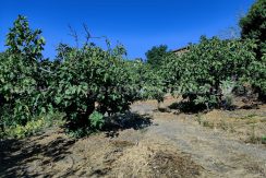 0f605753-f9a8-4798-af5a-2ce79d2356c1_result