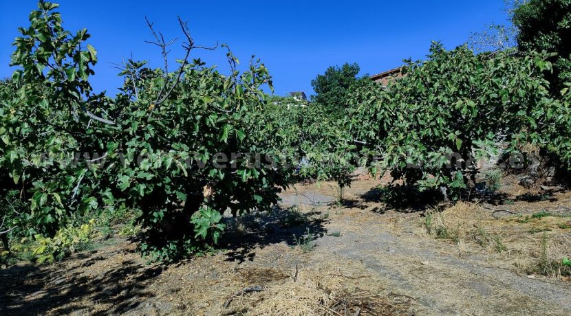 0f605753-f9a8-4798-af5a-2ce79d2356c1_result