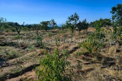 166c35aa-c9aa-47f2-896b-0c2a25e08713_result