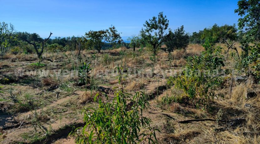 166c35aa-c9aa-47f2-896b-0c2a25e08713_result