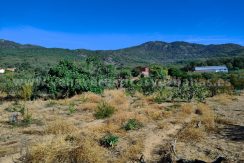 1a169ede-df33-4d9a-847c-1425054b707a_result