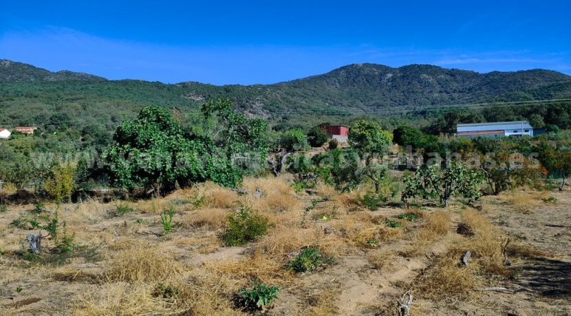 1a169ede-df33-4d9a-847c-1425054b707a_result