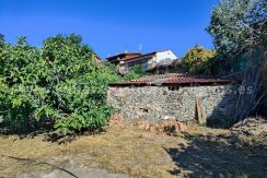 1c204ca4-c06c-4283-9c4f-5f15b686742b_result