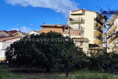 1cae3bee-d950-452b-84d4-1d23801aa643_result