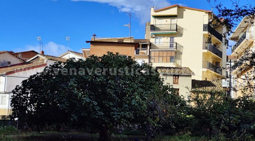 1cae3bee-d950-452b-84d4-1d23801aa643_result