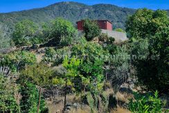 1df41c7f-f574-4048-a490-c8ed5b3d6d00_result