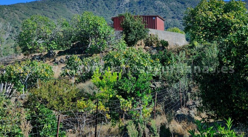 1df41c7f-f574-4048-a490-c8ed5b3d6d00_result