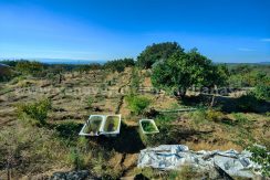 2f0849d4-7aaa-45d0-b44b-64ab7fcc48f2_result