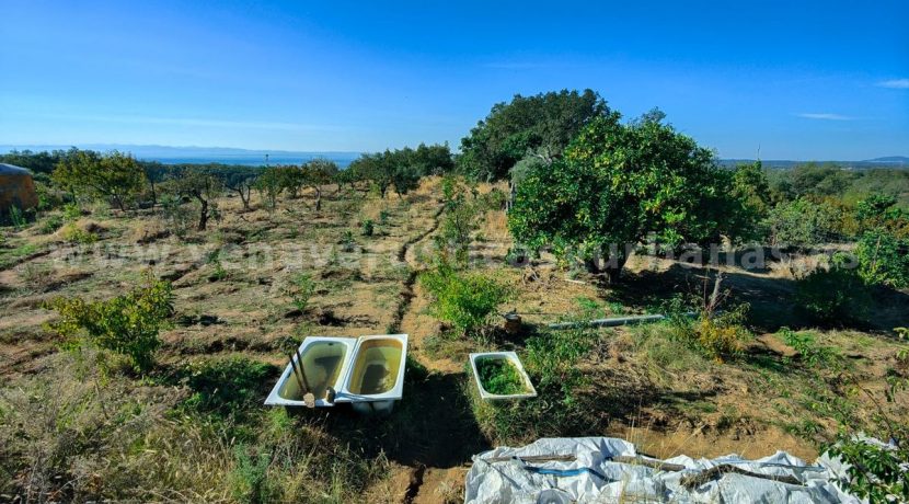 2f0849d4-7aaa-45d0-b44b-64ab7fcc48f2_result