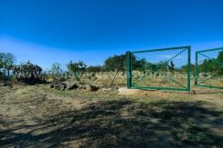 31557e19-3d8b-418a-9f61-38e809ac5dd9_result