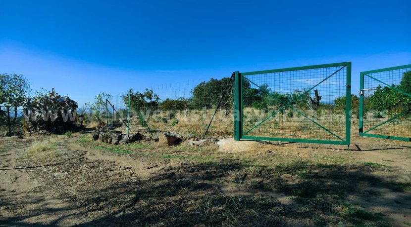 31557e19-3d8b-418a-9f61-38e809ac5dd9_result